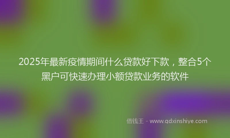 2025年最新疫情期间什么贷款好下款，整合5个黑户可快速办理小额贷款业务的软件