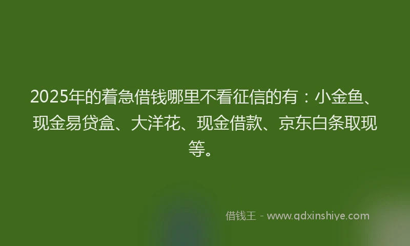 2025年的着急借钱哪里不看征信的有：小金鱼、现金易贷盒、大洋花、现金借款、京东白条取现等。