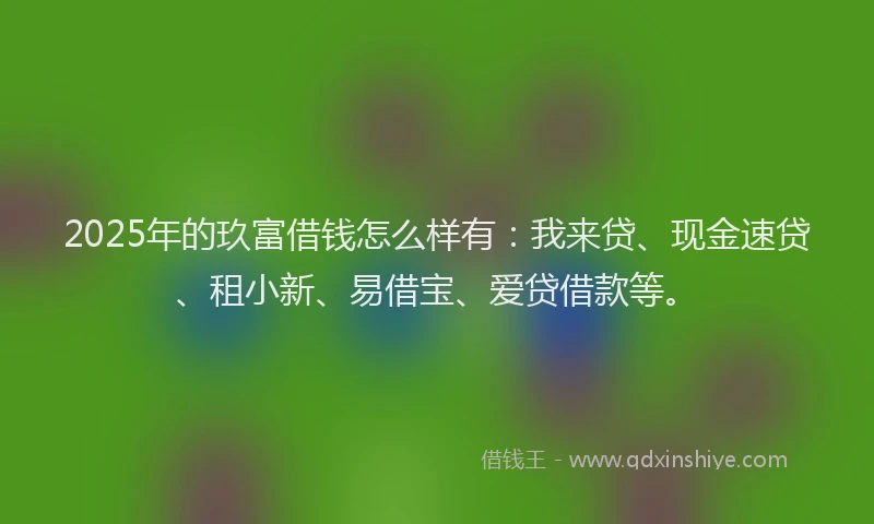 2025年的玖富借钱怎么样有：我来贷、现金速贷、租小新、易借宝、爱贷借款等。