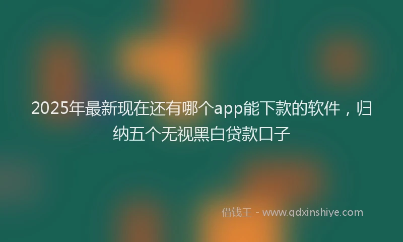 2025年最新现在还有哪个app能下款的软件，归纳五个无视黑白贷款口子