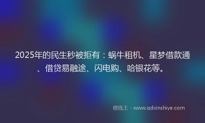 2025年的民生秒被拒有：蜗牛租机、星梦借款通、借贷易融途、闪电购、哈银花等。