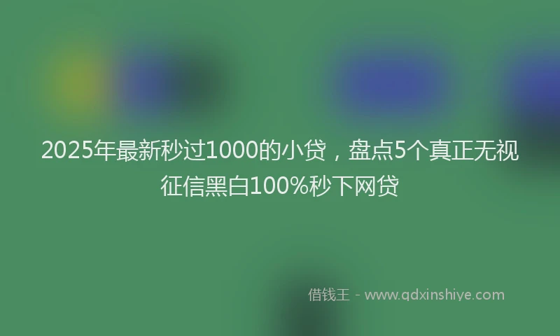 2025年最新秒过1000的小贷，盘点5个真正无视征信黑白100%秒下网贷