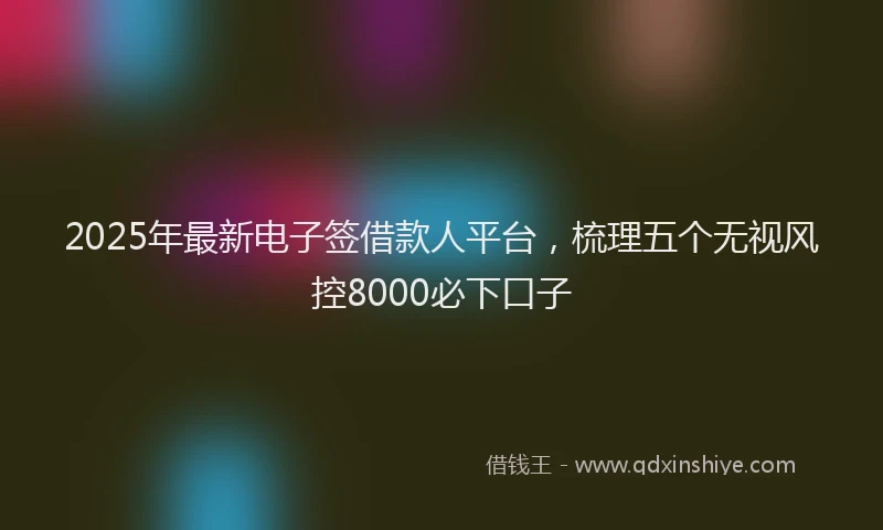 2025年最新电子签借款人平台，梳理五个无视风控8000必下口子