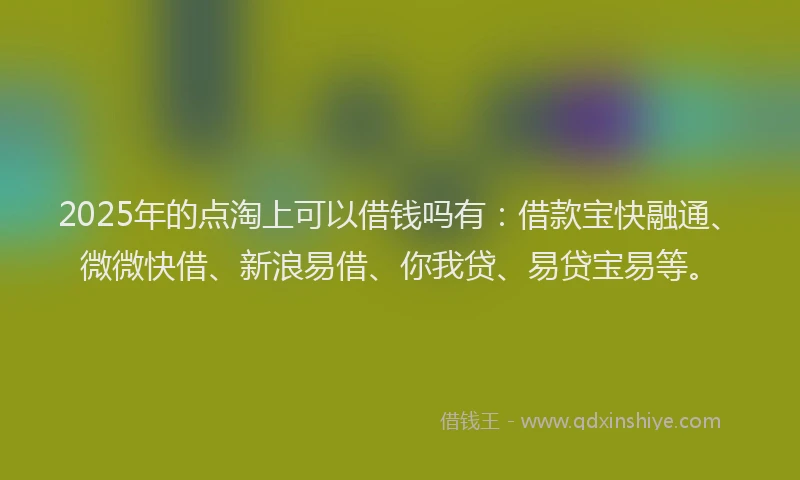2025年的点淘上可以借钱吗有：借款宝快融通、微微快借、新浪易借、你我贷、易贷宝易等。