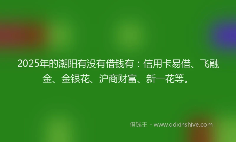 2025年的潮阳有没有借钱有：信用卡易借、飞融金、金银花、沪商财富、新一花等。