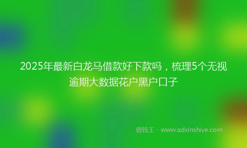 2025年最新白龙马借款好下款吗，梳理5个无视逾期大数据花户黑户口子