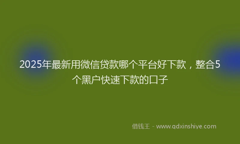 2025年最新用微信贷款哪个平台好下款，整合5个黑户快速下款的口子