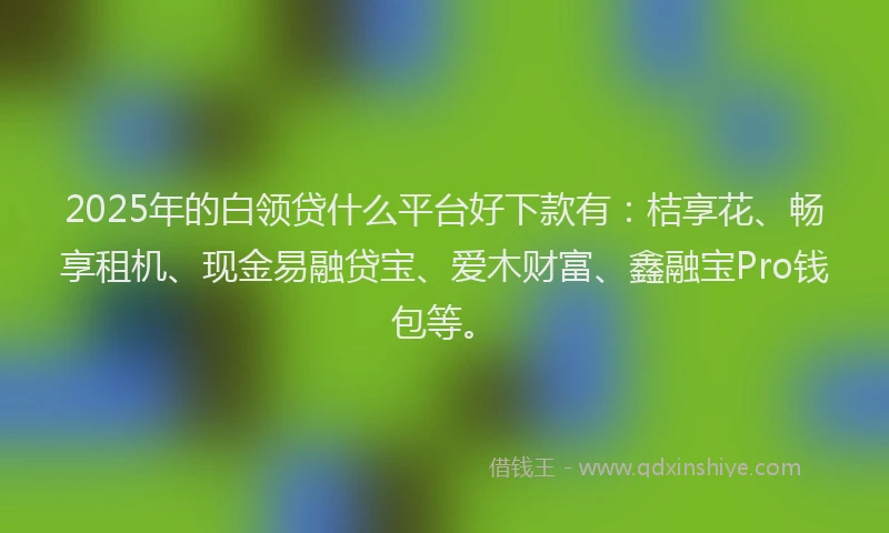 2025年的白领贷什么平台好下款有：桔享花、畅享租机、现金易融贷宝、爱木财富、鑫融宝Pro钱包等。