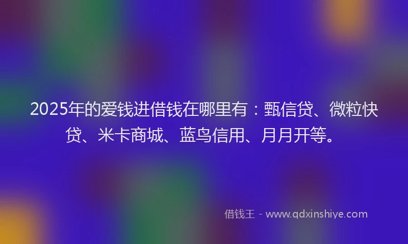 2025年的爱钱进借钱在哪里有：甄信贷、微粒快贷、米卡商城、蓝鸟信用、月月开等。