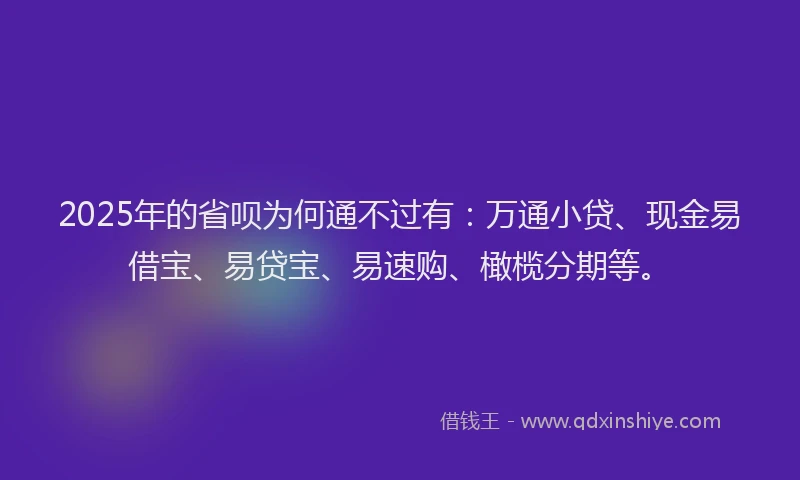 2025年的省呗为何通不过有：万通小贷、现金易借宝、易贷宝、易速购、橄榄分期等。