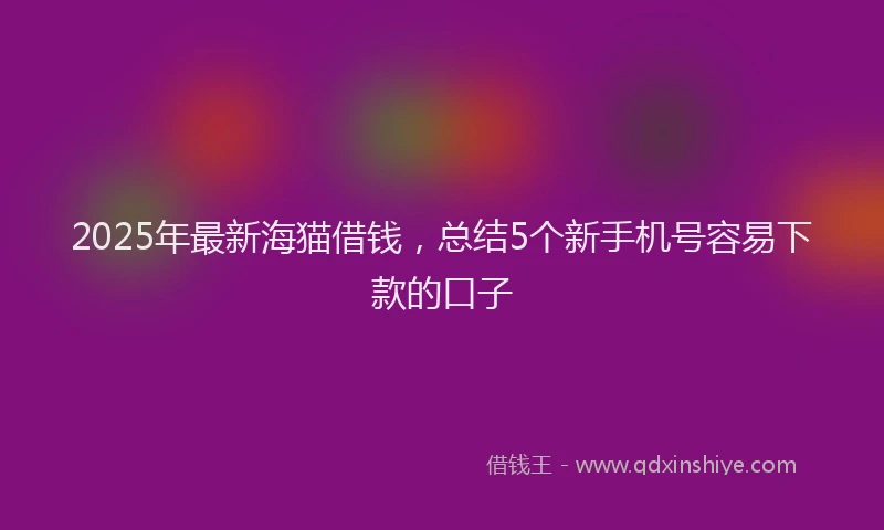 2025年最新海猫借钱，总结5个新手机号容易下款的口子