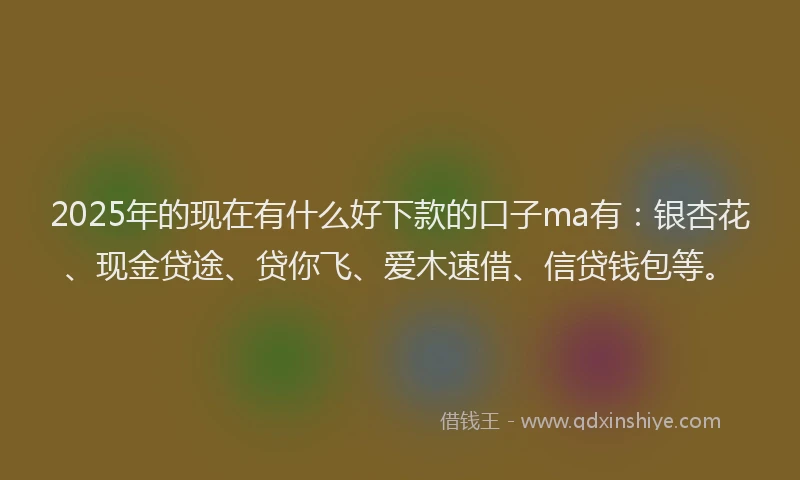 2025年的现在有什么好下款的口子ma有：银杏花、现金贷途、贷你飞、爱木速借、信贷钱包等。