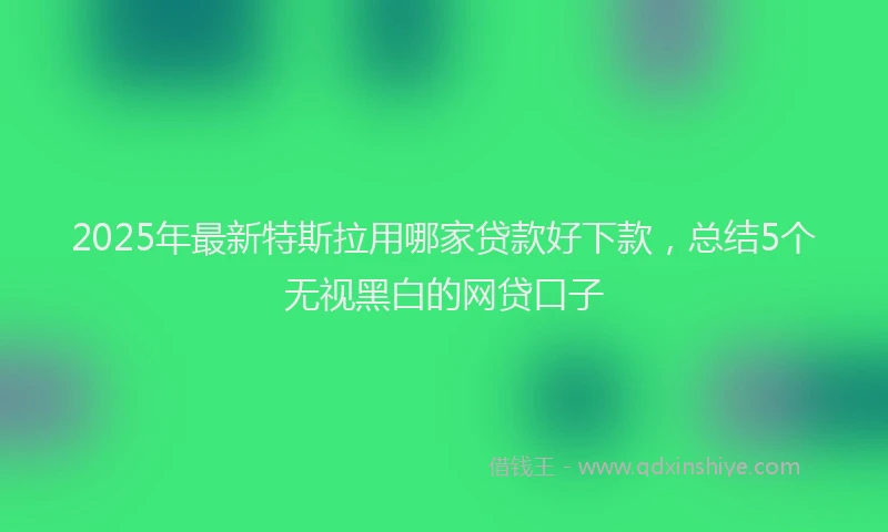 2025年最新特斯拉用哪家贷款好下款，总结5个无视黑白的网贷口子