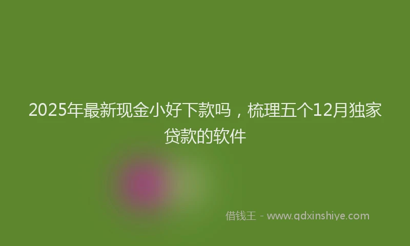 2025年最新现金小好下款吗，梳理五个12月独家贷款的软件