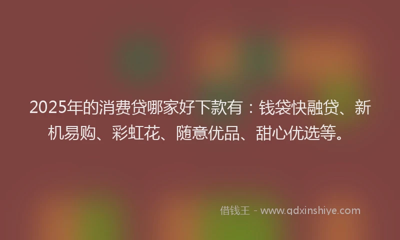 2025年的消费贷哪家好下款有：钱袋快融贷、新机易购、彩虹花、随意优品、甜心优选等。