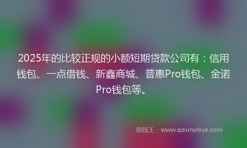 2025年的比较正规的小额短期贷款公司有：信用钱包、一点借钱、新鑫商城、普惠Pro钱包、金诺Pro钱包等。