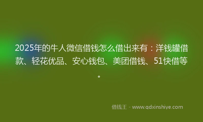 2025年的牛人微信借钱怎么借出来有：洋钱罐借款、轻花优品、安心钱包、美团借钱、51快借等。
