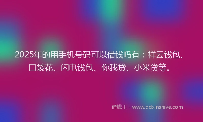 2025年的用手机号码可以借钱吗有:祥云钱包、口袋花、闪电钱包、你我贷、小米贷等。