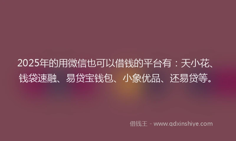 2025年的用微信也可以借钱的平台有：天小花、钱袋速融、易贷宝钱包、小象优品、还易贷等。