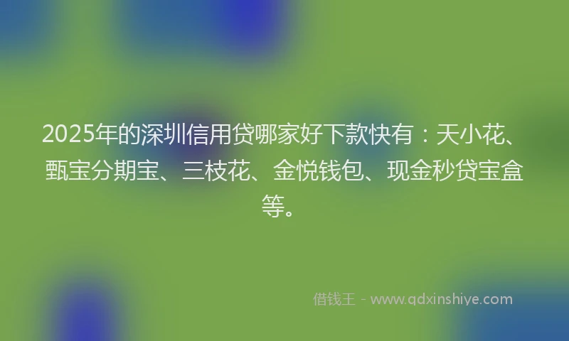 2025年的深圳信用贷哪家好下款快有：天小花、甄宝分期宝、三枝花、金悦钱包、现金秒贷宝盒等。