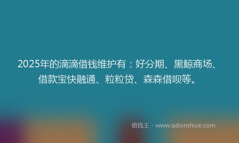 2025年的滴滴借钱维护有：好分期、黑鲸商场、借款宝快融通、粒粒贷、森森借呗等。