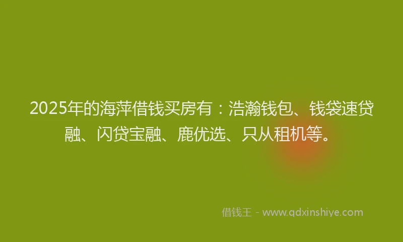 2025年的海萍借钱买房有：浩瀚钱包、钱袋速贷融、闪贷宝融、鹿优选、只从租机等。