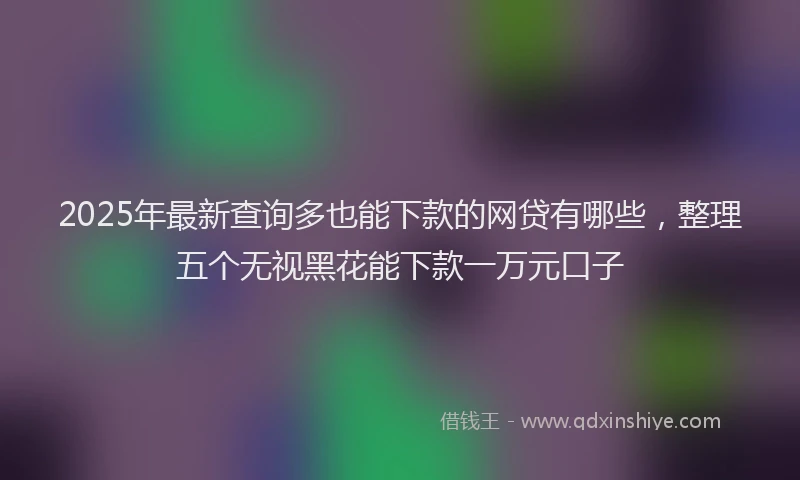 2025年最新查询多也能下款的网贷有哪些，整理五个无视黑花能下款一万元口子