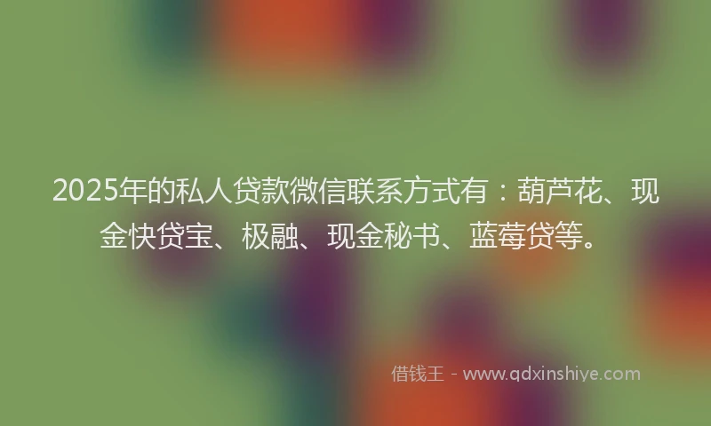 2025年的私人贷款微信联系方式有：葫芦花、现金快贷宝、极融、现金秘书、蓝莓贷等。