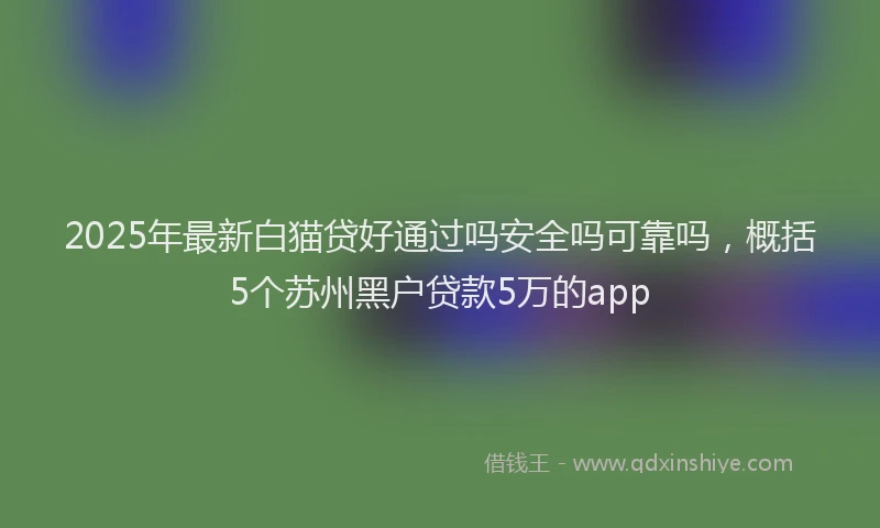 2025年最新白猫贷好通过吗安全吗可靠吗，概括5个苏州黑户贷款5万的app
