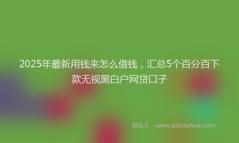 2025年最新用钱来怎么借钱，汇总5个百分百下款无视黑白户网贷口子