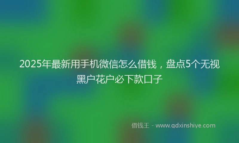 2025年最新用手机微信怎么借钱，盘点5个无视黑户花户必下款口子
