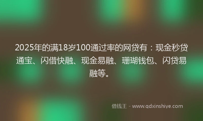 2025年的满18岁100通过率的网贷有：现金秒贷通宝、闪借快融、现金易融、珊瑚钱包、闪贷易融等。