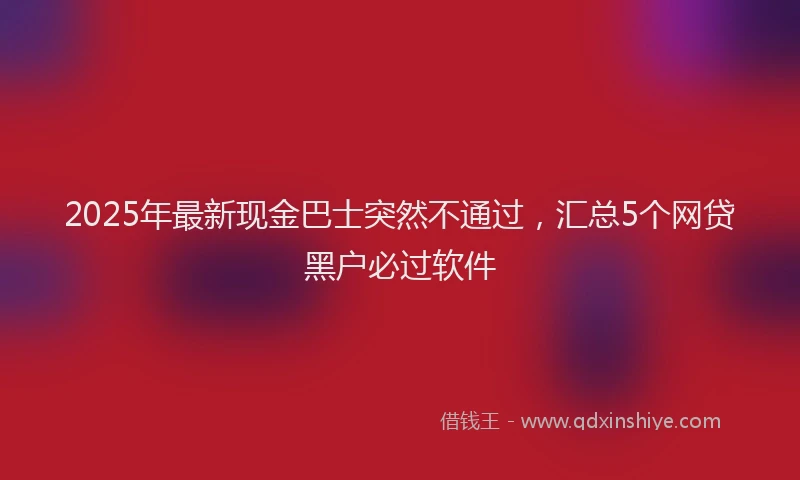 2025年最新现金巴士突然不通过，汇总5个网贷黑户必过软件