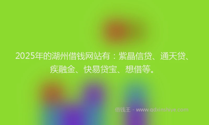 2025年的湖州借钱网站有：紫晶信贷、通天贷、疾融金、快易贷宝、想借等。