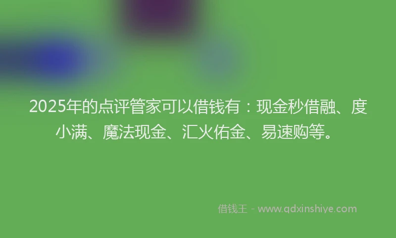 2025年的点评管家可以借钱有：现金秒借融、度小满、魔法现金、汇火佑金、易速购等。