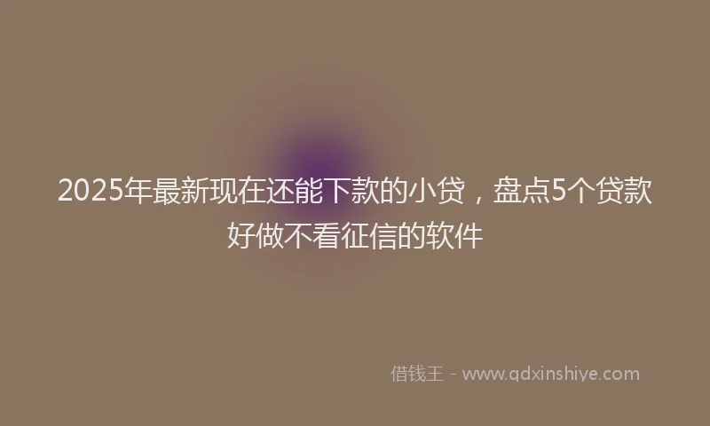 2025年最新现在还能下款的小贷，盘点5个贷款好做不看征信的软件