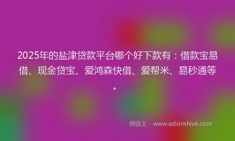 2025年的盐津贷款平台哪个好下款有：借款宝易借、现金贷宝、爱鸿森快借、爱帮米、易秒通等。
