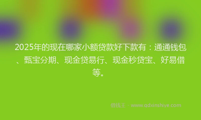 2025年的现在哪家小额贷款好下款有：通通钱包、甄宝分期、现金贷易行、现金秒贷宝、好易借等。
