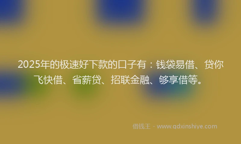 2025年的极速好下款的口子有：钱袋易借、贷你飞快借、省薪贷、招联金融、够享借等。