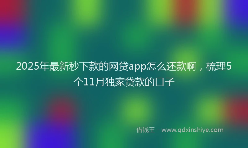 2025年最新秒下款的网贷app怎么还款啊，梳理5个11月独家贷款的口子