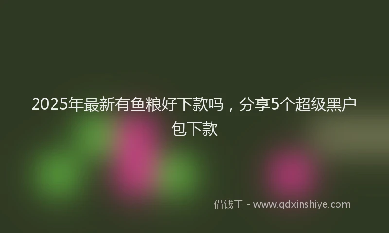 2025年最新有鱼粮好下款吗，分享5个超级黑户包下款