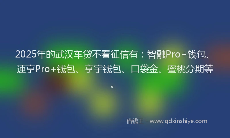 2025年的武汉车贷不看征信有：智融Pro+钱包、速享Pro+钱包、享宇钱包、口袋金、蜜桃分期等。