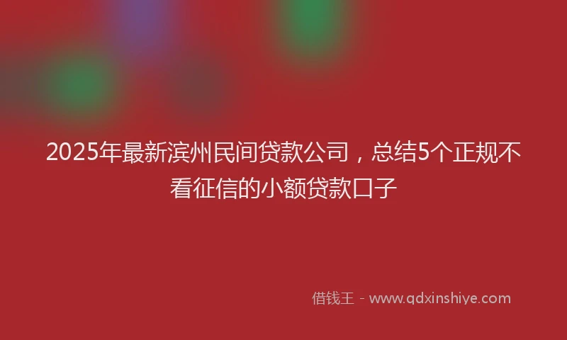 2025年最新滨州民间贷款公司，总结5个正规不看征信的小额贷款口子