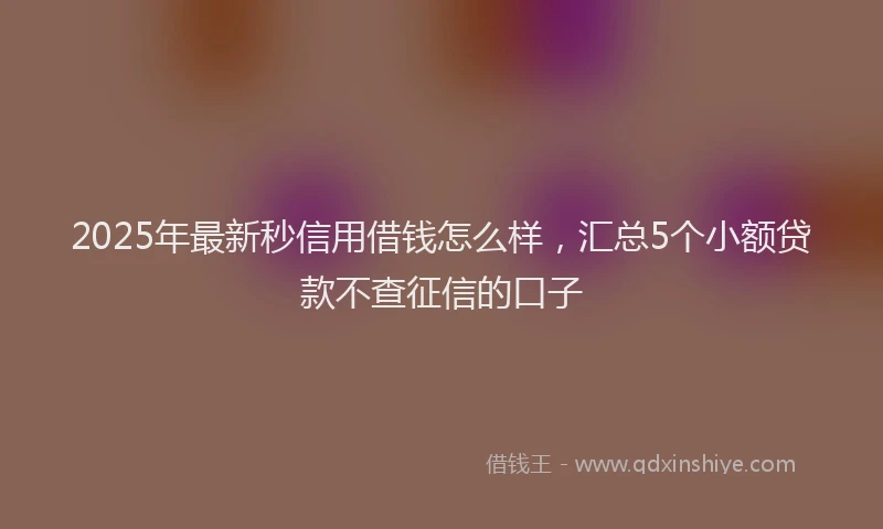 2025年最新秒信用借钱怎么样，汇总5个小额贷款不查征信的口子