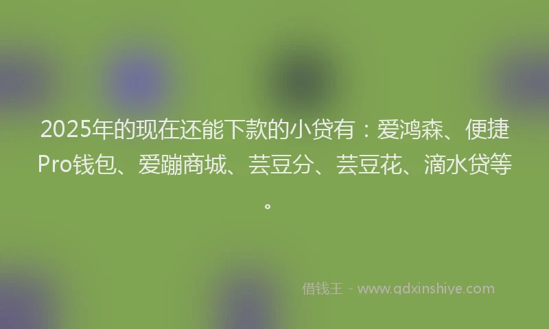 2025年的现在还能下款的小贷有：爱鸿森、便捷Pro钱包、爱蹦商城、芸豆分、芸豆花、滴水贷等。