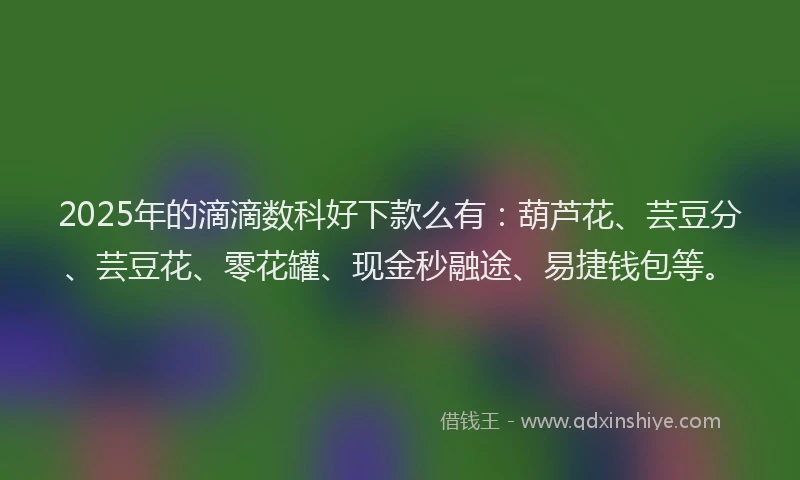 2025年的滴滴数科好下款么有：葫芦花、芸豆分、芸豆花、零花罐、现金秒融途、易捷钱包等。
