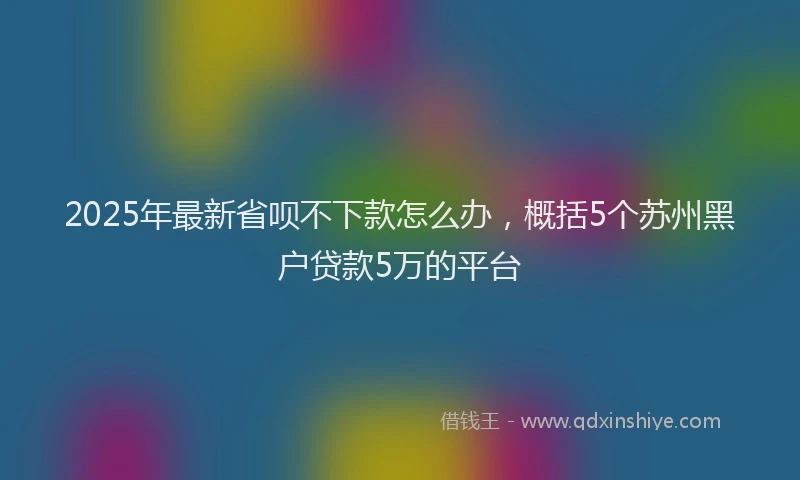 2025年最新省呗不下款怎么办，概括5个苏州黑户贷款5万的平台