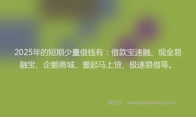 2025年的短期少量借钱有：借款宝速融、现金易融宝、企鹅商城、壹起马上贷、极速易借等。