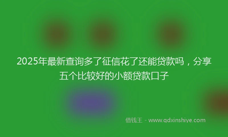 2025年最新查询多了征信花了还能贷款吗，分享五个比较好的小额贷款口子