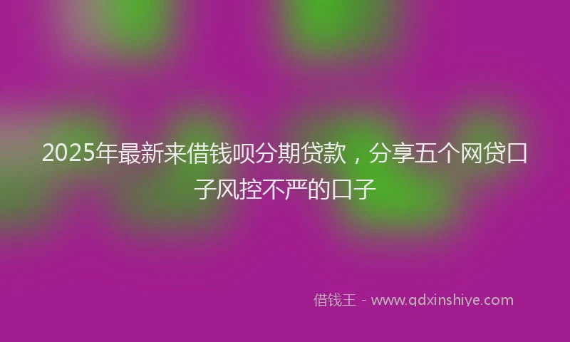2025年最新来借钱呗分期贷款，分享五个网贷口子风控不严的口子